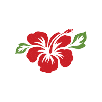 itstheislandlife guam hibiscus rota island life Sticker