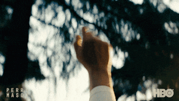 Tatiana Maslany Lawyer GIF by HBO