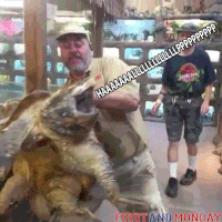 turtle GIF by FirstAndMonday