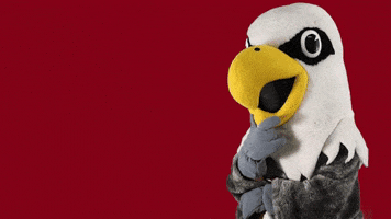 uwlacrosse thinking hmm hmmmmmm uwl GIF