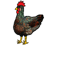 Huhn Sticker