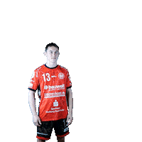 Handball Sieg Sticker by Hollenstedt-Handball