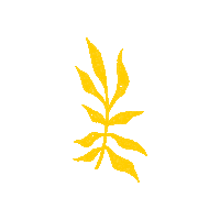 Planta Paodeacucar Sticker by Bondinho
