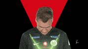 Vfl Wolfsburg Fifa GIF by Bundesliga