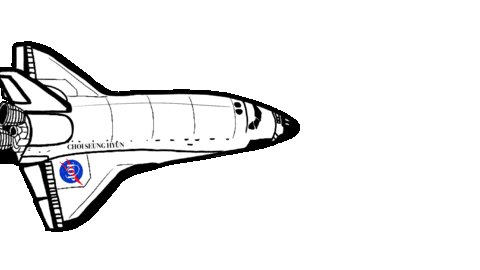 Space Shuttle Sticker