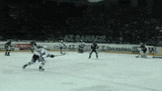 Usti Nad Labem Jakub GIF by Piráti Chomutov