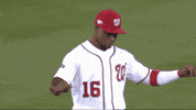 Jomboy  GIF