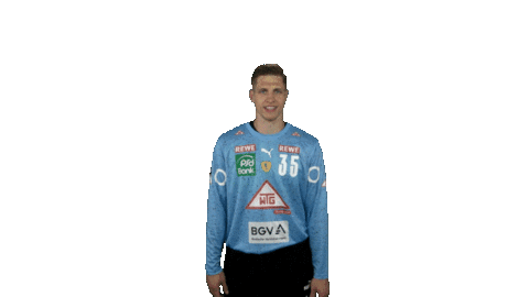 Handball-Bundesliga Handball Sticker by LIQUI MOLY HBL