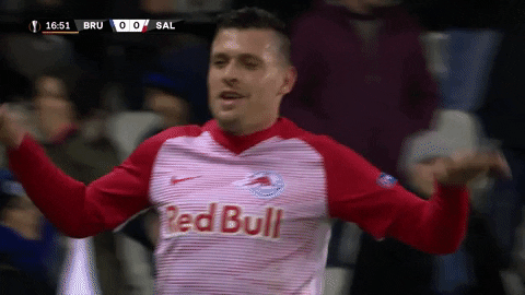red bull fly GIF by FC Red Bull Salzburg