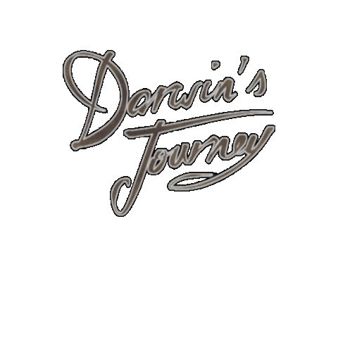 Rftg Darwins Journey Sticker by Campustech.fr