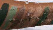 valentinepalette  GIF