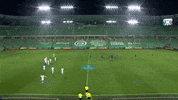 GIF by FOX Sports
