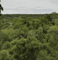 GIF by Nat