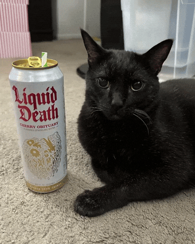 Black Cat Liquid Death GIF