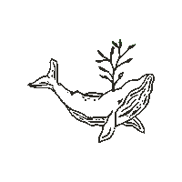 Whale Jonah Sticker by The Gathering Church