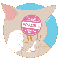Cute Cat Sticker
