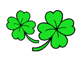 St Patricks Day Beer Sticker by COREY PAIGE DESIGNS