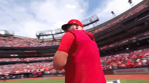 Canadian GIF by Toronto Blue Jays