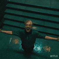 Shootermcgavin GIF by NETFLIX
