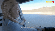 Nervous Panic GIF by Channel 7