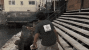 the amazing race tar GIF