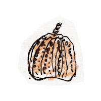 doodlepaperr doodle pumpkin flippy doodlepaperr Sticker