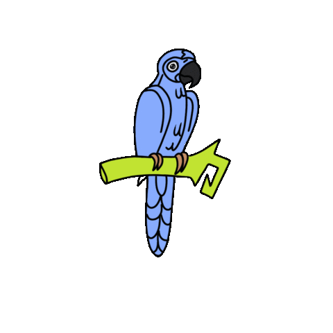 Rio De Janeiro Love Sticker by Espelho