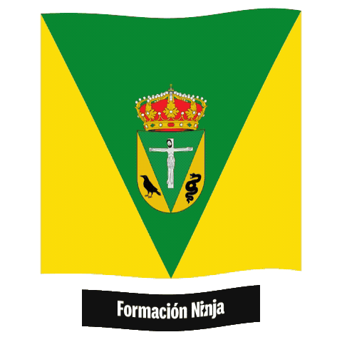 Castilla Y Leon Flag Sticker by Formación Ninja