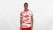 Champions League Football GIF by RB Leipzig