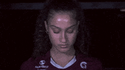Littlerockvb2020 GIF by Little Rock Athletics