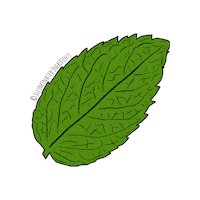 IlluminatedIngredients  Sticker