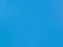 stop motion animation GIF by Phyllis Ma