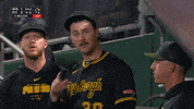 Baseball Pittsburgh GIF by MLB