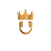 New York Gold Sticker by Nova Sound