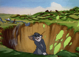 Ryder Cup Golf GIF