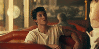 shawn mendes camila cabello GIF by Shawn Mendes