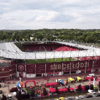 Football Soccer GIF by Widzew Łódź