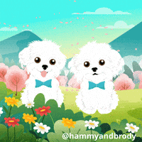 Dog Here Ya Go GIF by HammyandBrody