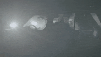 Driving Road Trip GIF by Sea Wolf