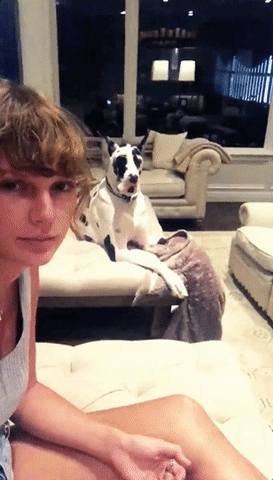 taylor swift GIF