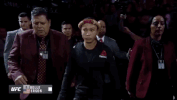 ufc 229 sport GIF by UFC