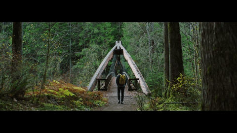 GIF by Mission North