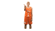 Basketball No Sticker by Tango Bourges Basket