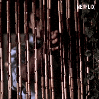 Damon Salvatore Netflix GIF by Fanged Up