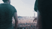 cheatcodes edc too easy cheat codes GIF