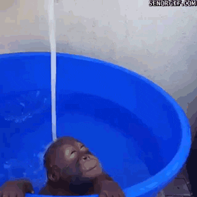 water shower GIF