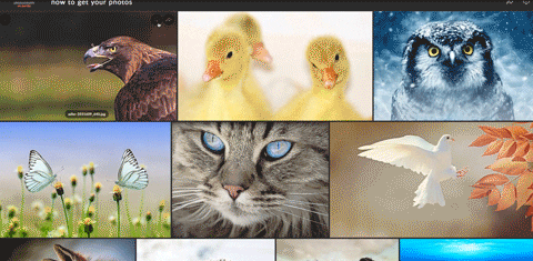 akiskypraios giphyupload GIF