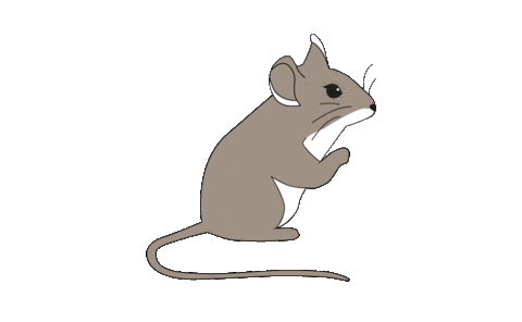 Mouse Mice Sticker by tobiasandthebear