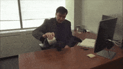 office pet GIF by Diply