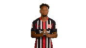 Eintracht Frankfurt Thank You Sticker by Bundesliga